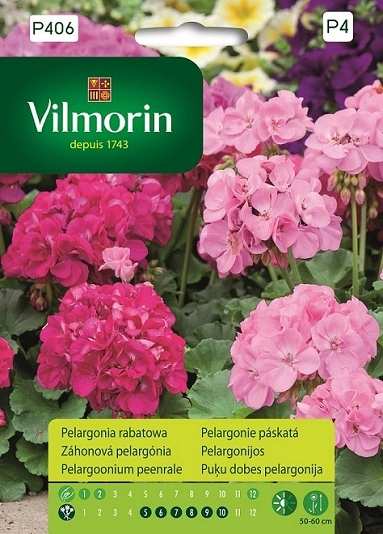 Vilmorin pelargonia-rabatowa-rozowa nasiona rajogrodnika